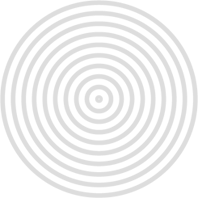 Hızlı Şirket Shape